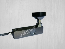 ZHBL-1 地上衡称重传感器