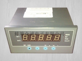 力值显示仪表--ZCHB